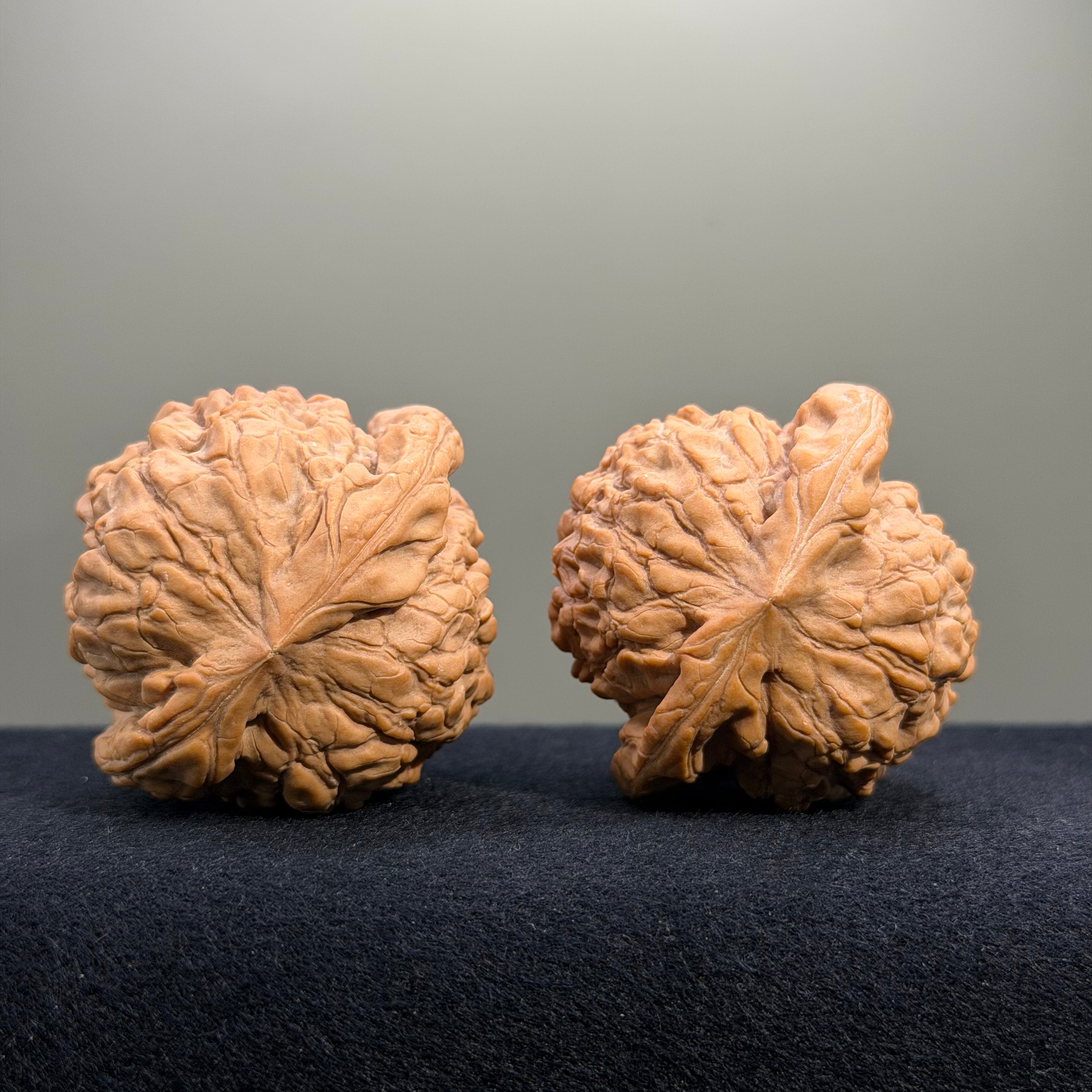 Dragon Cauldron Wenwan Walnut · 50mm · Natural · Collector Ritual
