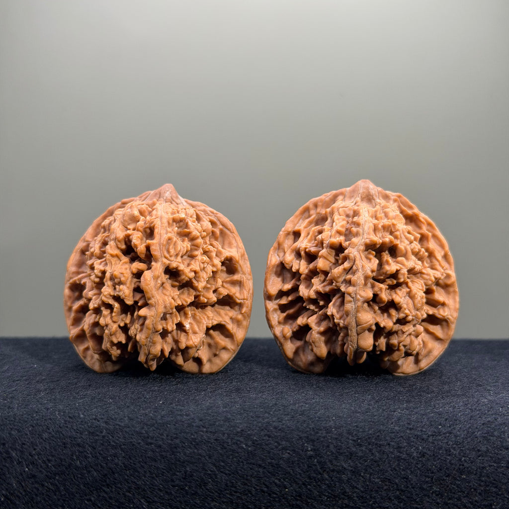 Starry Sky Wenwan Walnut · 43mm · Natural · Premium Ritual