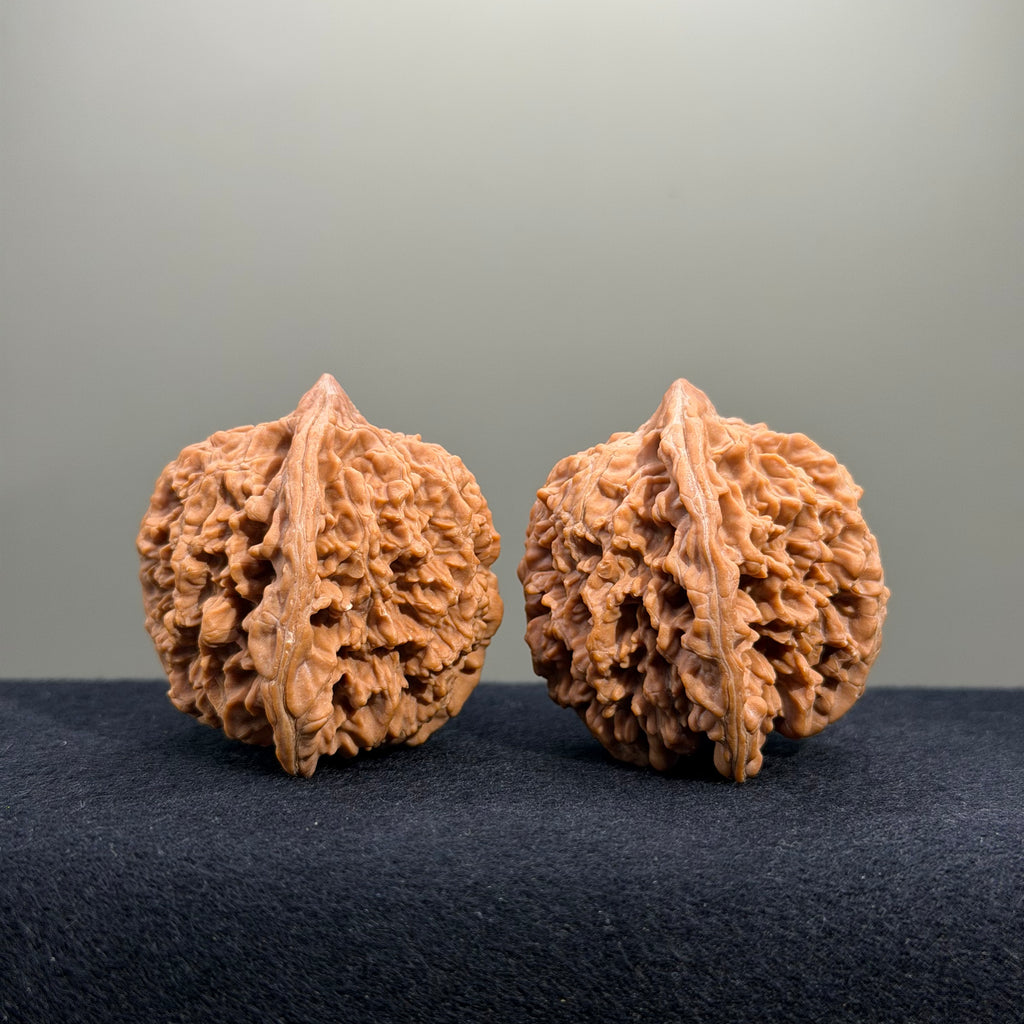 Starry Sky Wenwan Walnut · 43mm · Natural · Premium Ritual