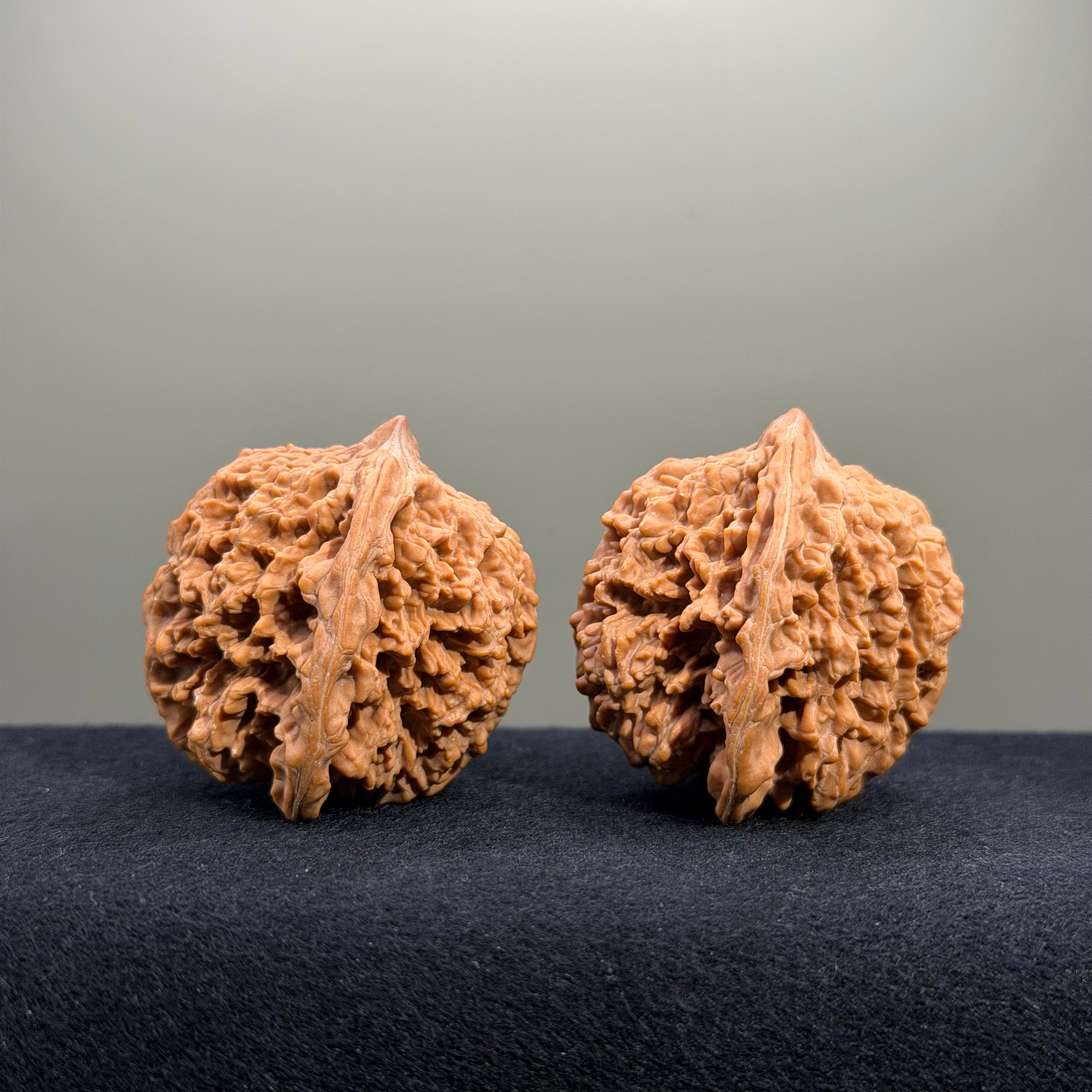 Starry Sky Wenwan Walnut · 43mm · Natural · Premium Ritual