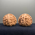 White Lion Wenwan Walnut · 38mm · Natural · Premium Ritual