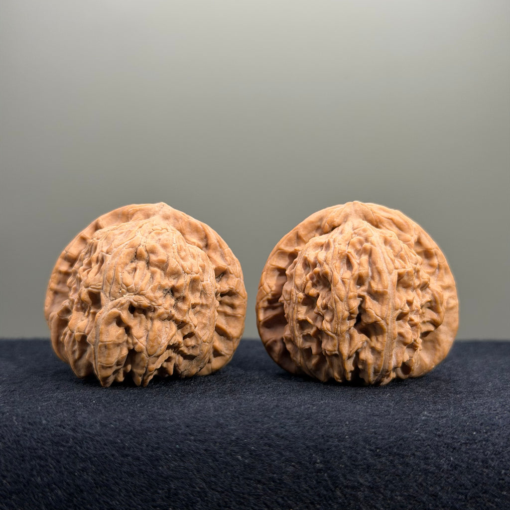 White Lion Wenwan Walnut · 38mm · Natural · Premium Ritual
