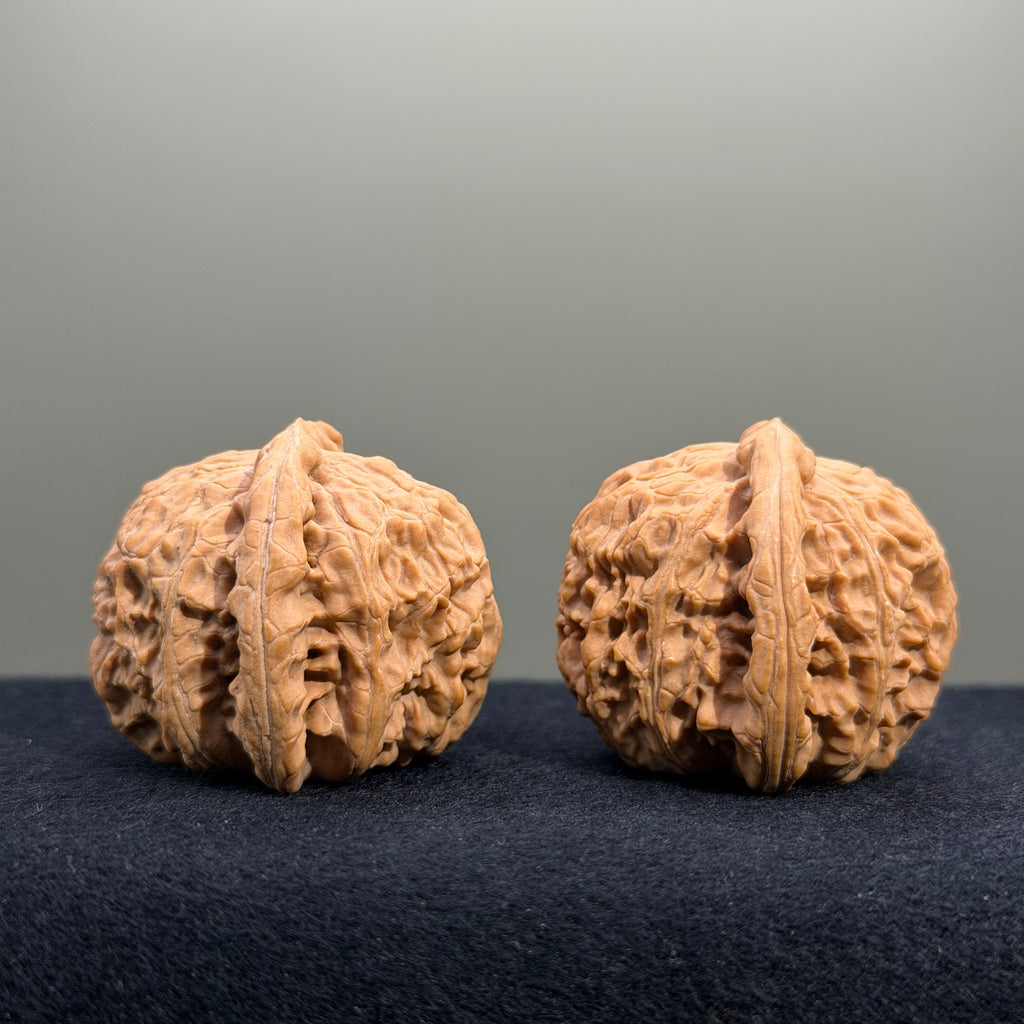 White Lion Wenwan Walnut · 38mm · Natural · Premium Ritual