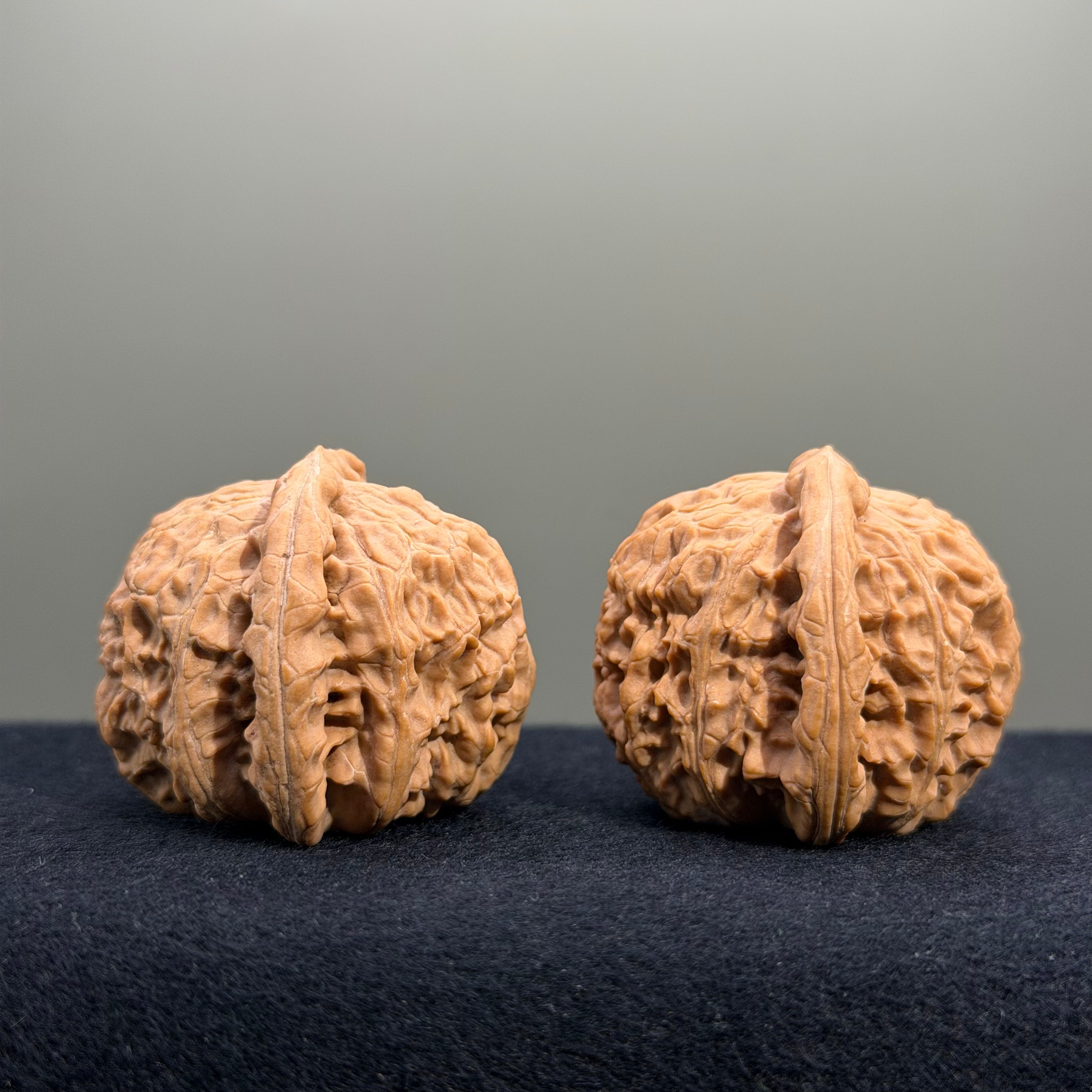 White Lion Wenwan Walnut · 38mm · Natural · Premium Ritual