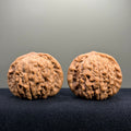 Dragon Cauldron Wenwan Walnut · 50mm · Natural · Collector Ritual