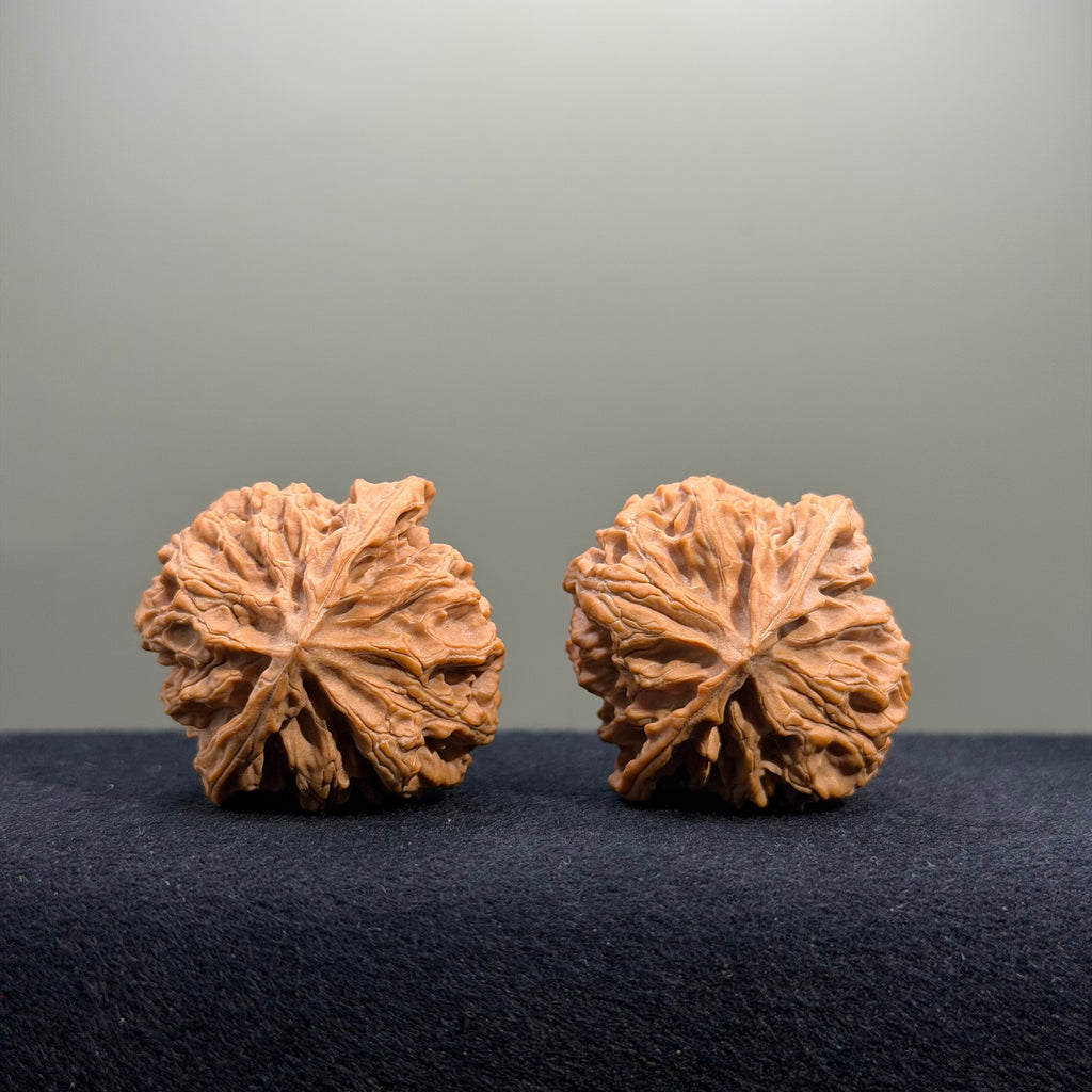 Triangle Shape · Apple Orchard Wenwan Walnut · 38mm · Natural · Select Ritual