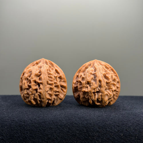 Apple Orchard Wenwan Walnut · 35mm · Select Ritual