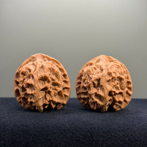 Apple Orchard Wenwan Walnut · 40mm · Natural · Select Ritual