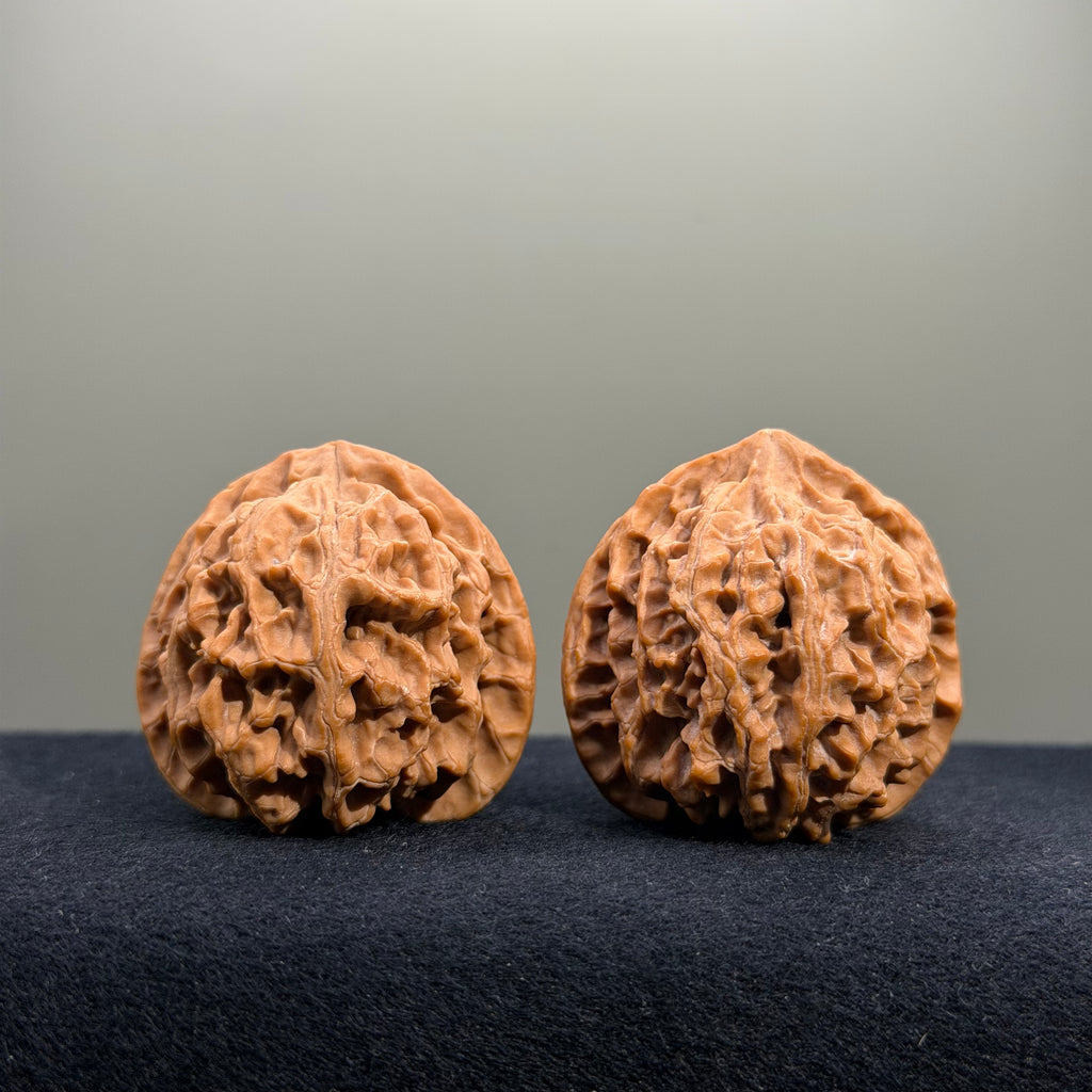 Apple Orchard Wenwan Walnut · 39mm · Natural · Select Ritual
