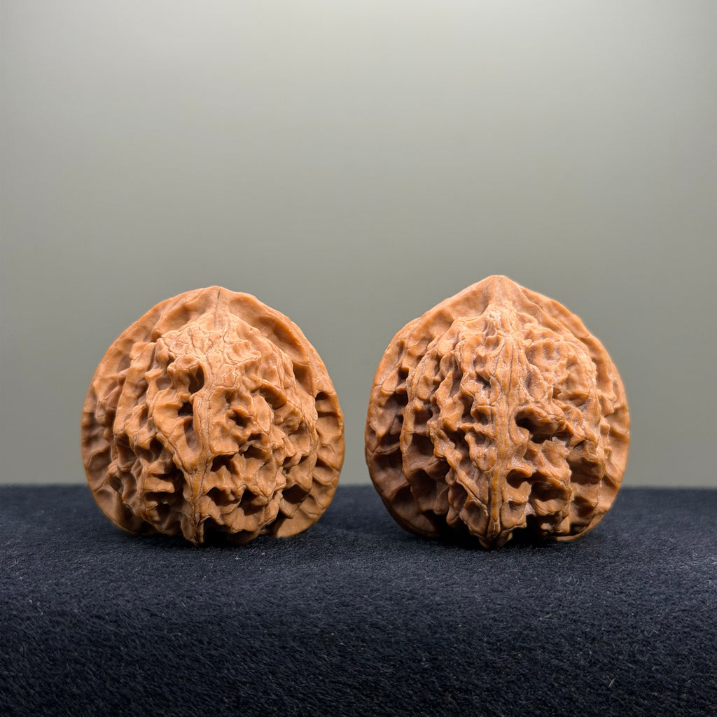 Apple Orchard Wenwan Walnut · 39mm · Natural · Select Ritual