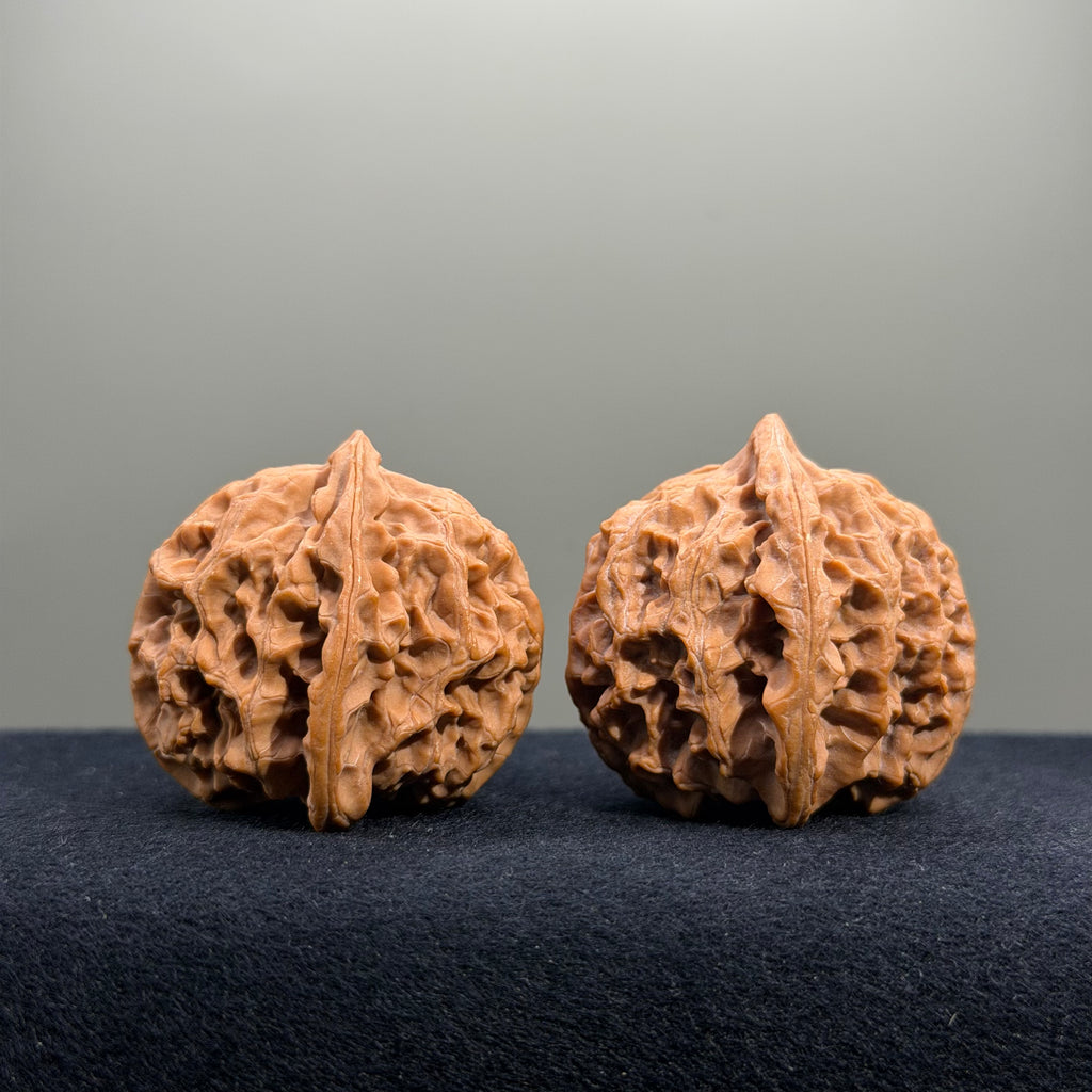 Apple Orchard Wenwan Walnut · 39mm · Natural · Select Ritual
