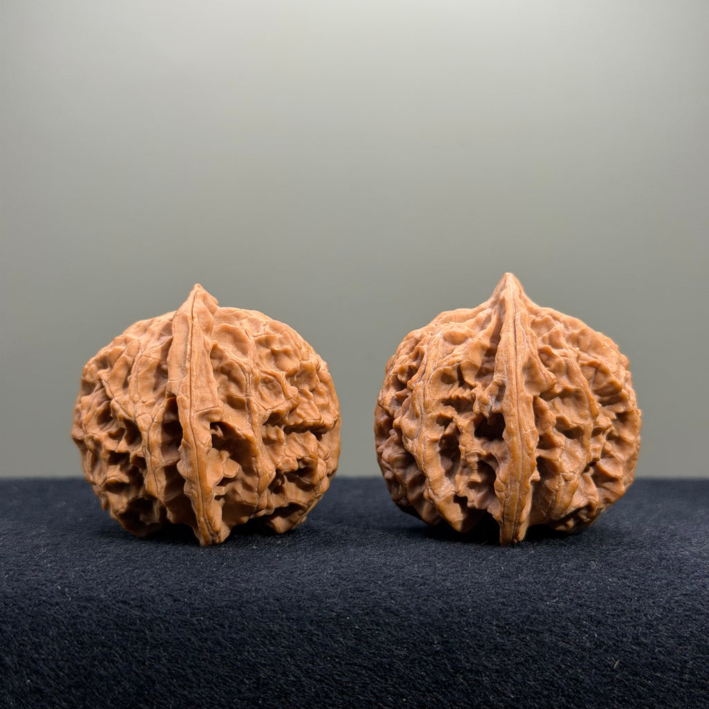 Apple Orchard Wenwan Walnut · 39mm · Natural · Select Ritual