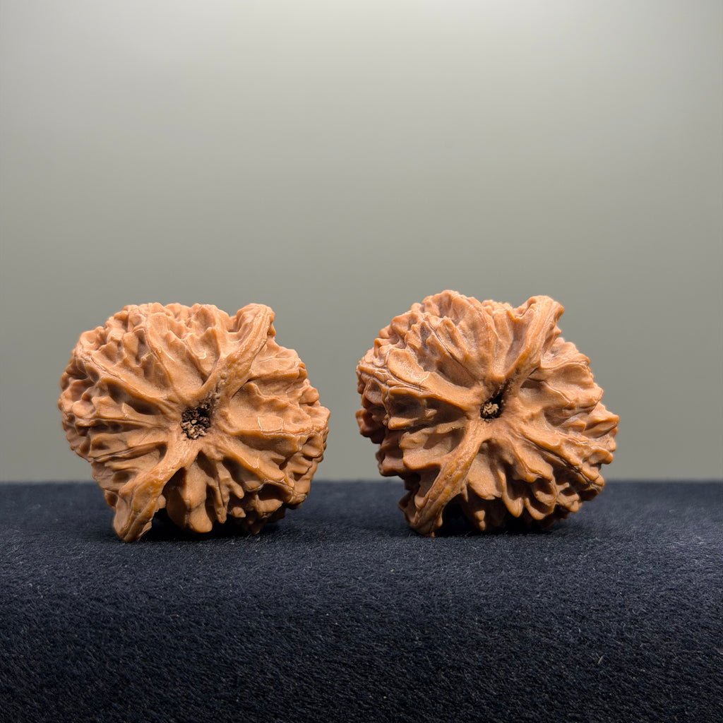 Apple Orchard Wenwan Walnut · 39mm · Natural · Select Ritual