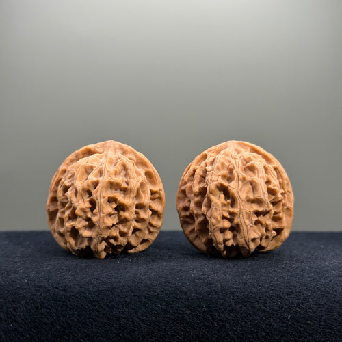 Apple Orchard Wenwan Walnut · 38mm · Natural · Select Ritual