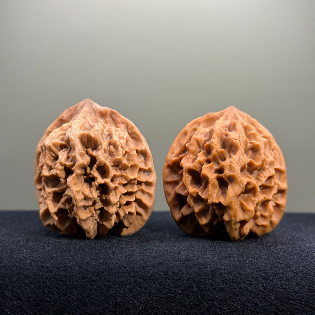 Emperor Wenwan Walnut · 43mm · Natural · Entry Ritual