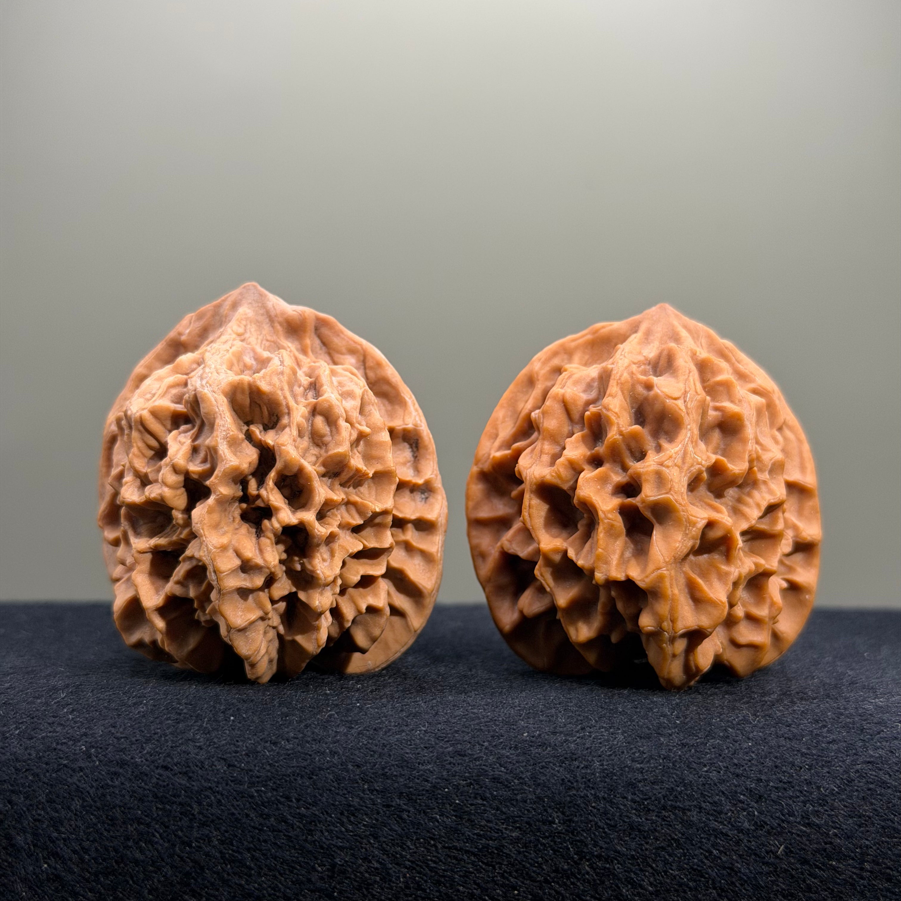 Emperor Wenwan Walnut · 43mm · Natural · Entry Ritual