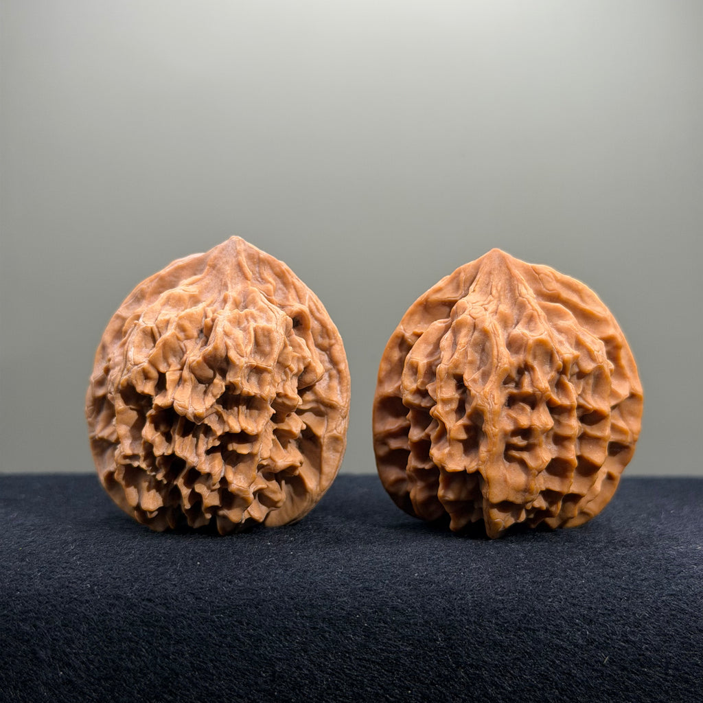 Emperor Wenwan Walnut · 43mm · Natural · Entry Ritual