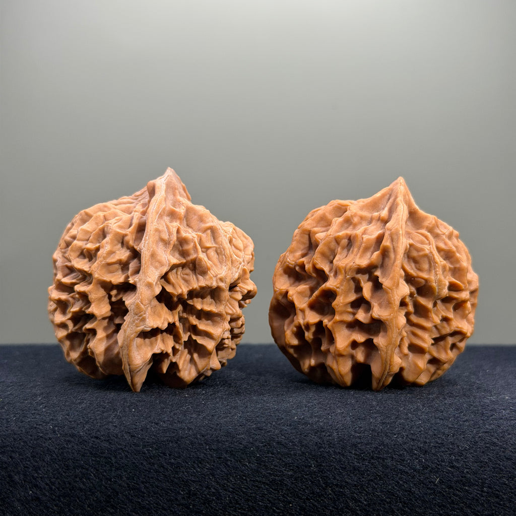 Emperor Wenwan Walnut · 43mm · Natural · Entry Ritual