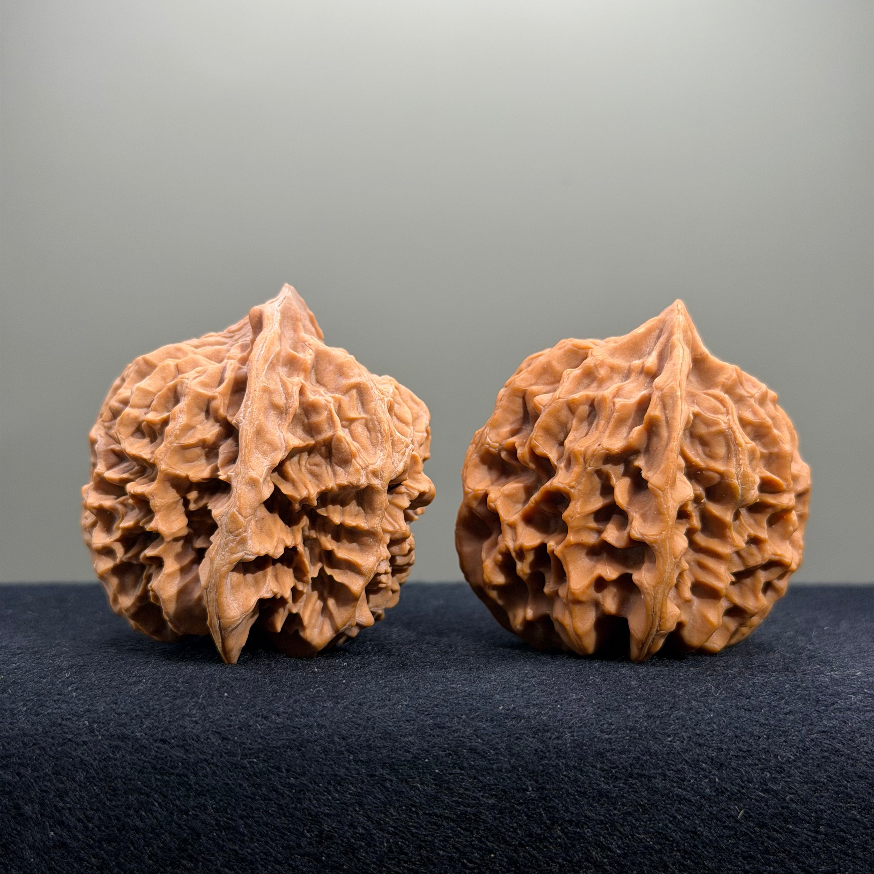 Emperor Wenwan Walnut · 43mm · Natural · Entry Ritual
