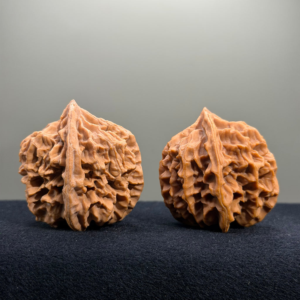 Emperor Wenwan Walnut · 43mm · Natural · Entry Ritual
