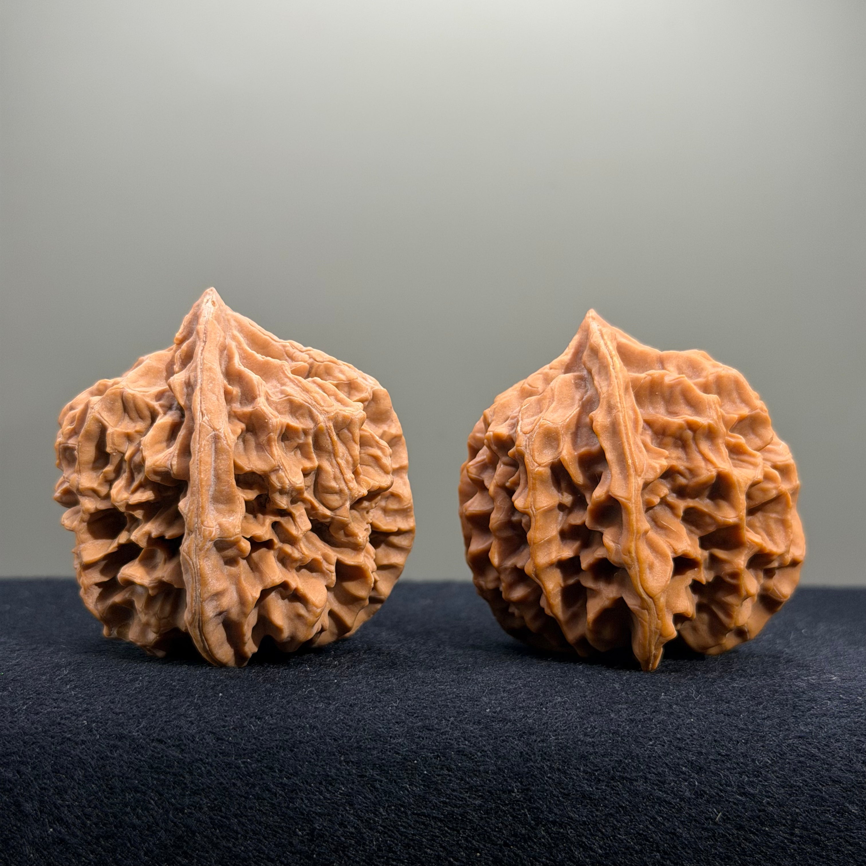 Emperor Wenwan Walnut · 43mm · Natural · Entry Ritual