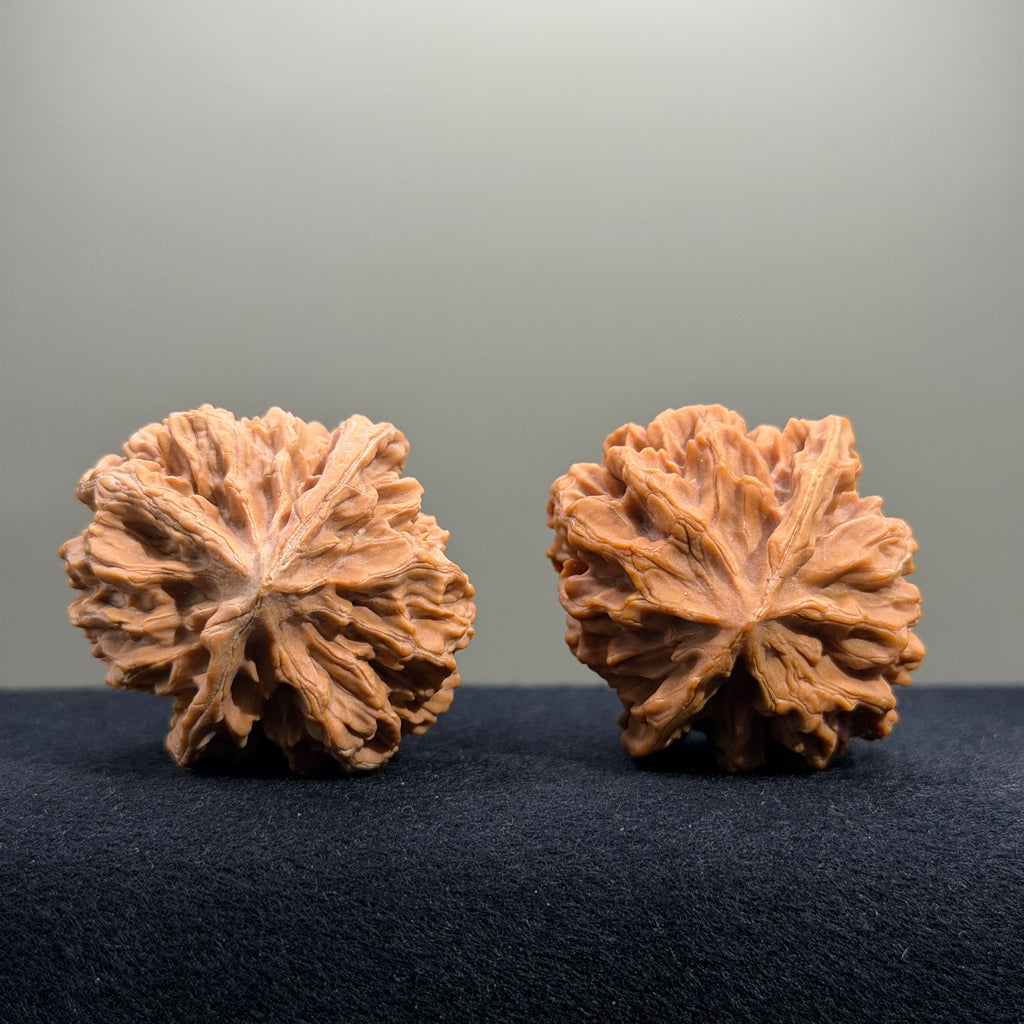 Emperor Wenwan Walnut · 43mm · Natural · Entry Ritual