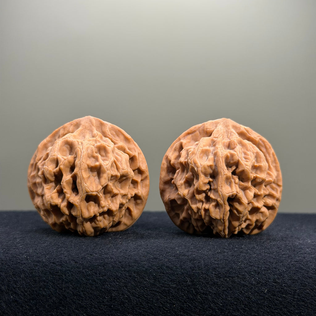 Emperor Wenwan Walnut · 42mm · Natural · Entry Ritual