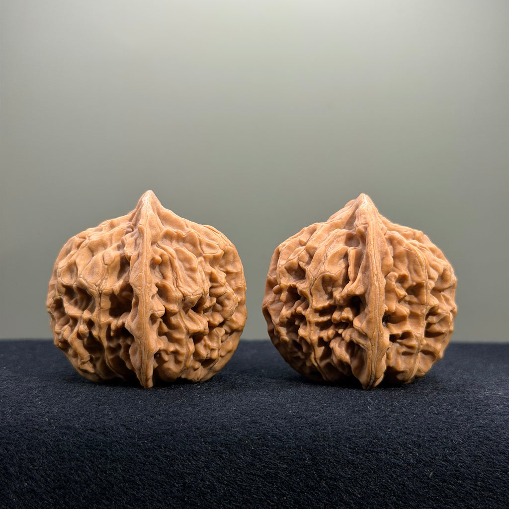 Emperor Wenwan Walnut · 42mm · Natural · Entry Ritual