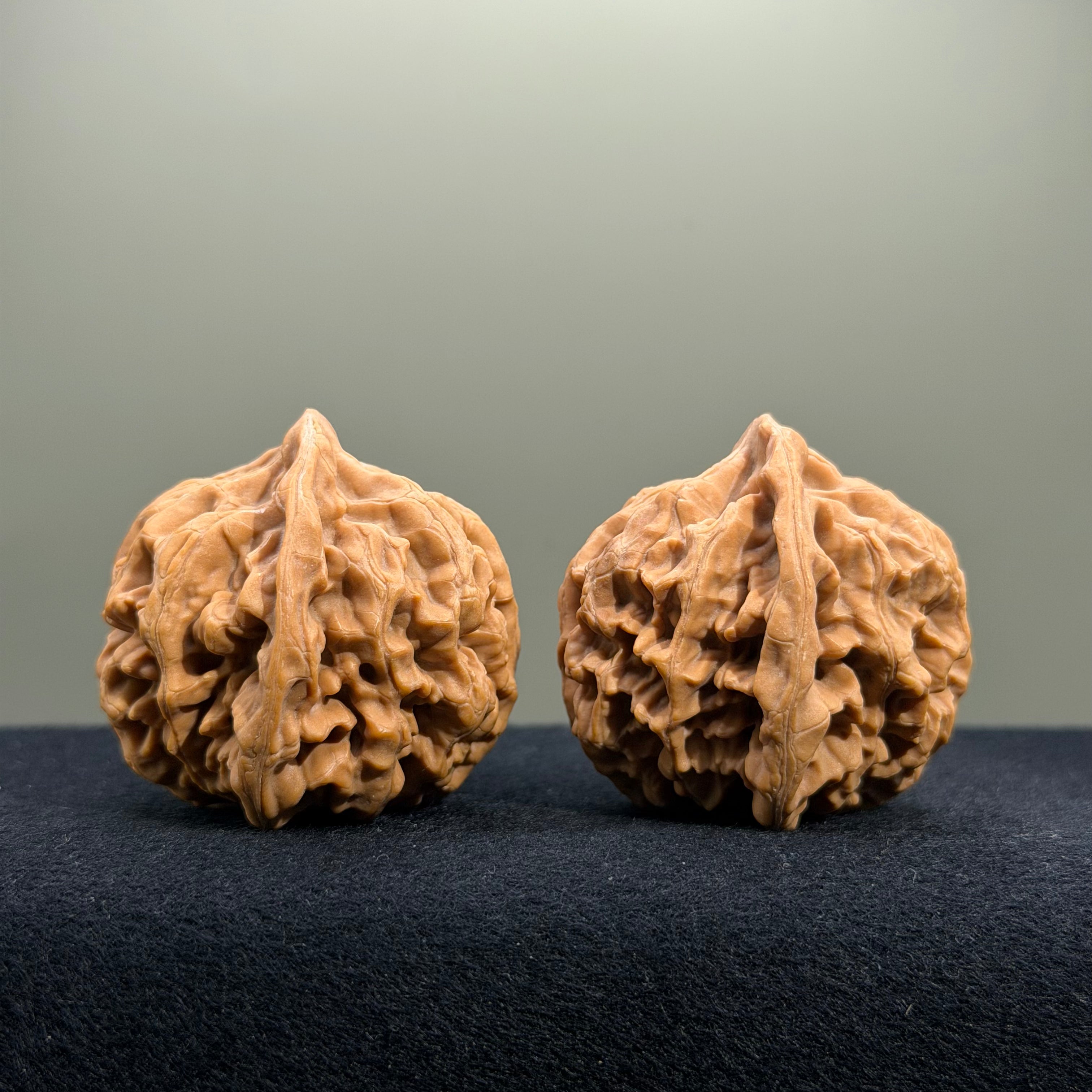 Emperor Wenwan Walnut · 42mm · Natural · Entry Ritual