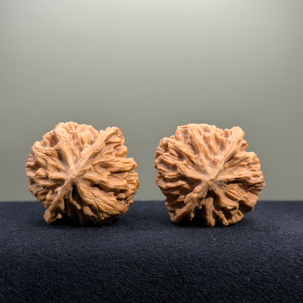 Emperor Wenwan Walnut · 42mm · Natural · Entry Ritual