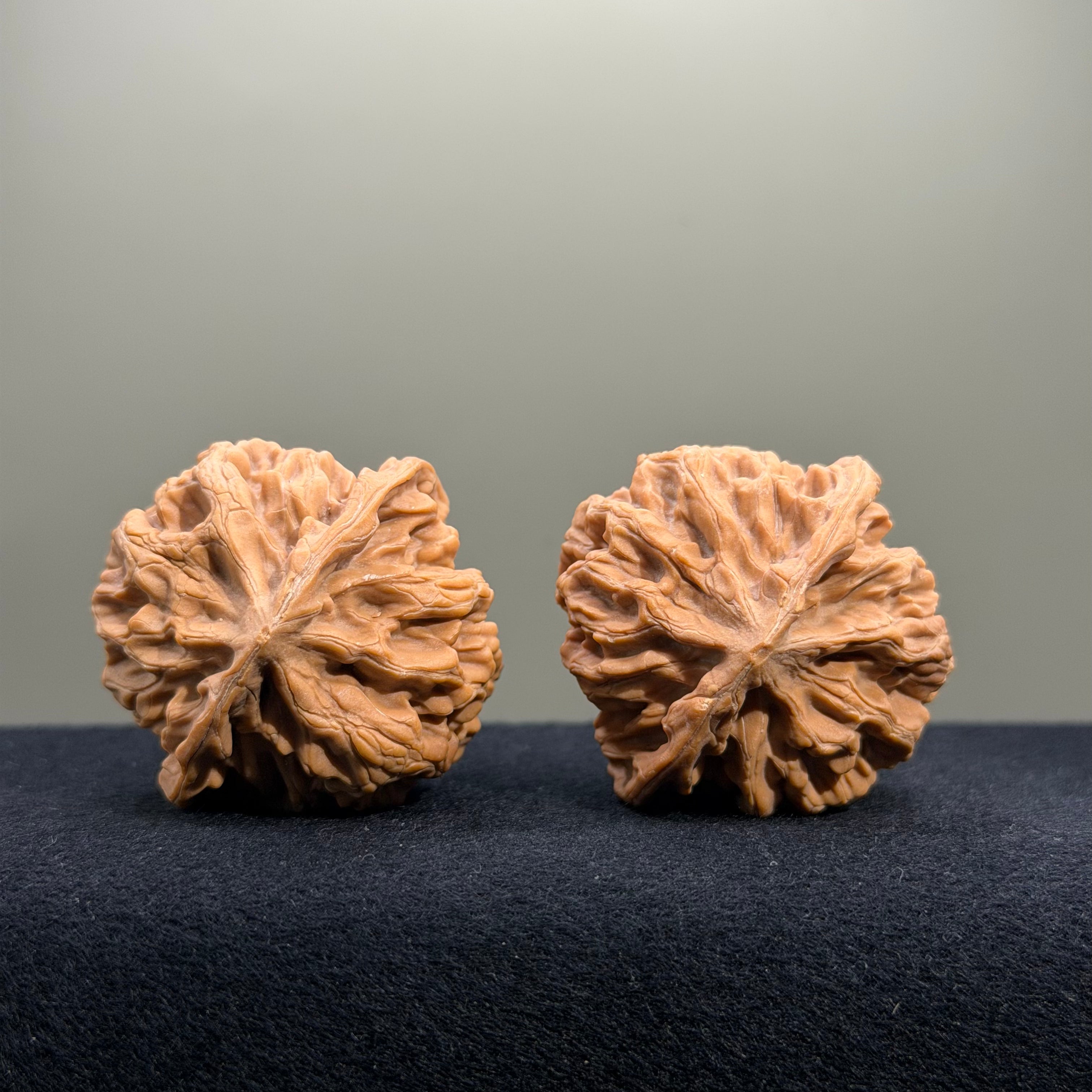Emperor Wenwan Walnut · 42mm · Natural · Entry Ritual