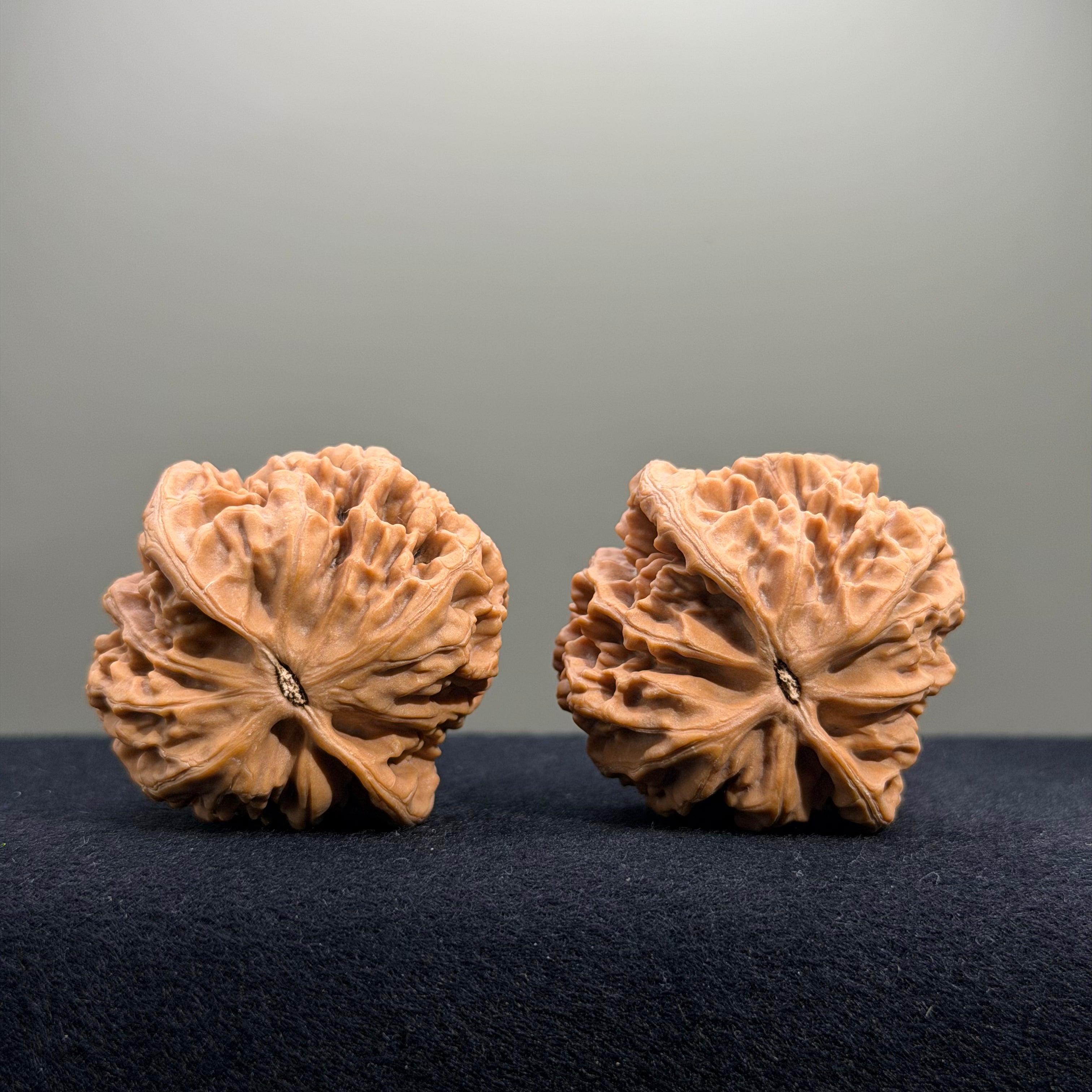 Emperor Wenwan Walnut · 42mm · Natural · Entry Ritual