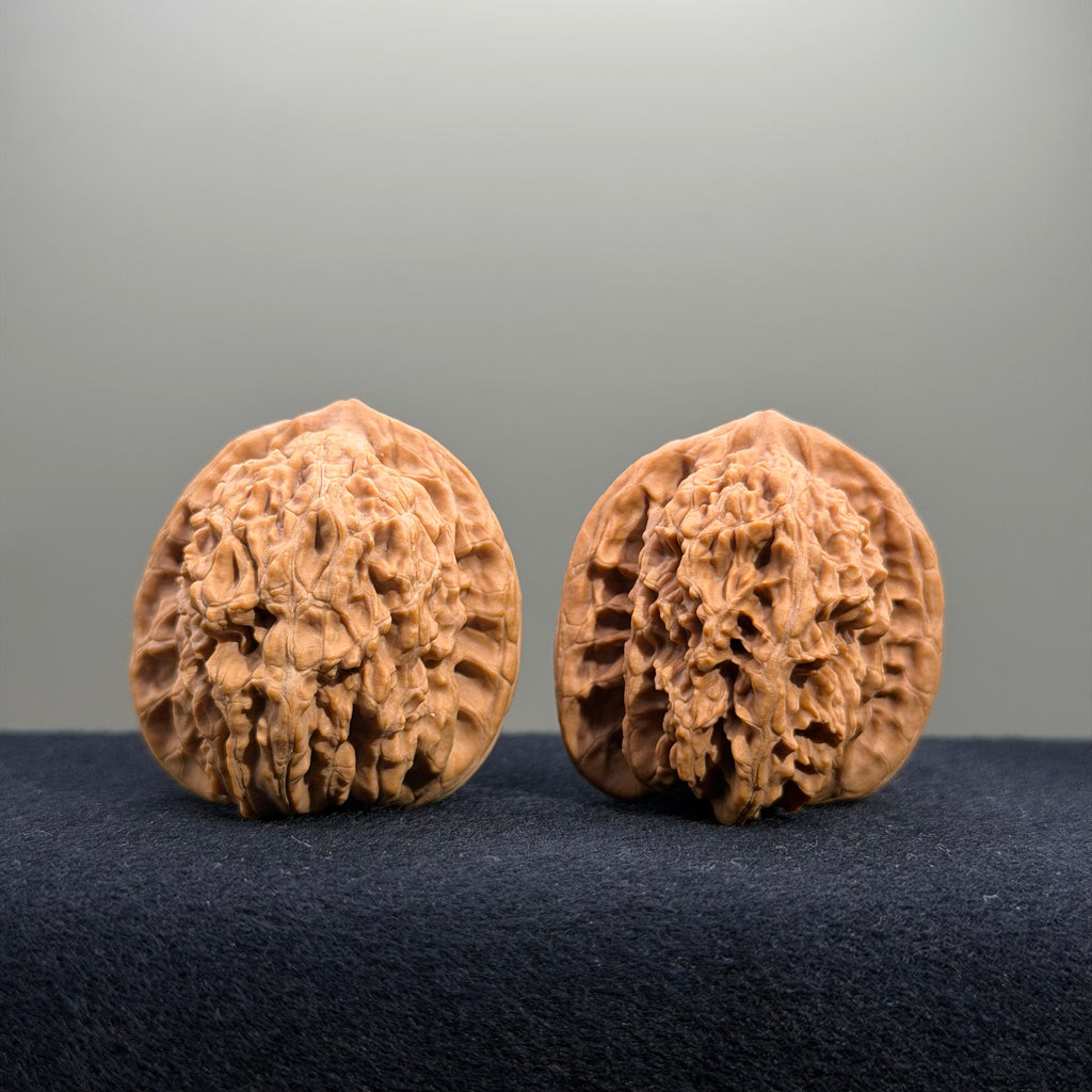 Coiled Dragon Tiger Head Wenwan Walnut · 39mm · Natural · Entry Ritual