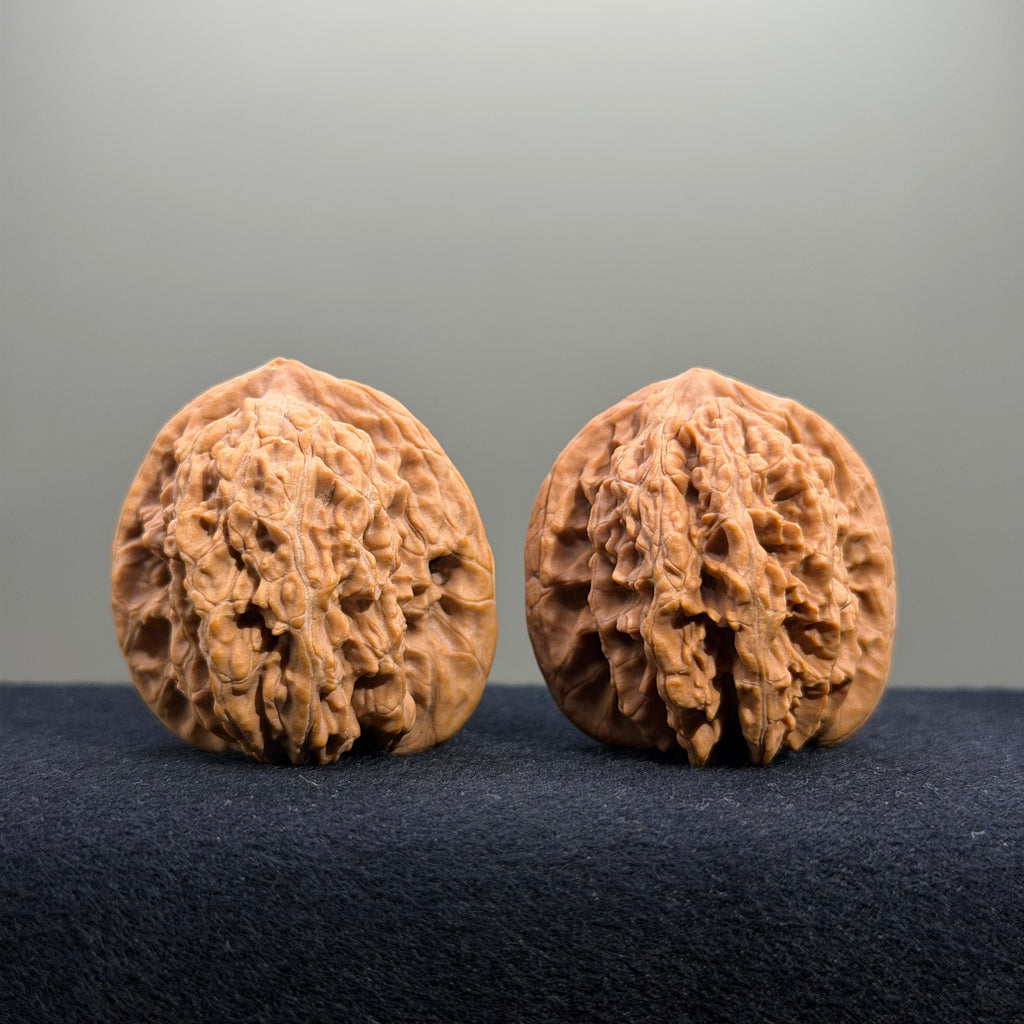 Coiled Dragon Tiger Head Wenwan Walnut · 39mm · Natural · Entry Ritual