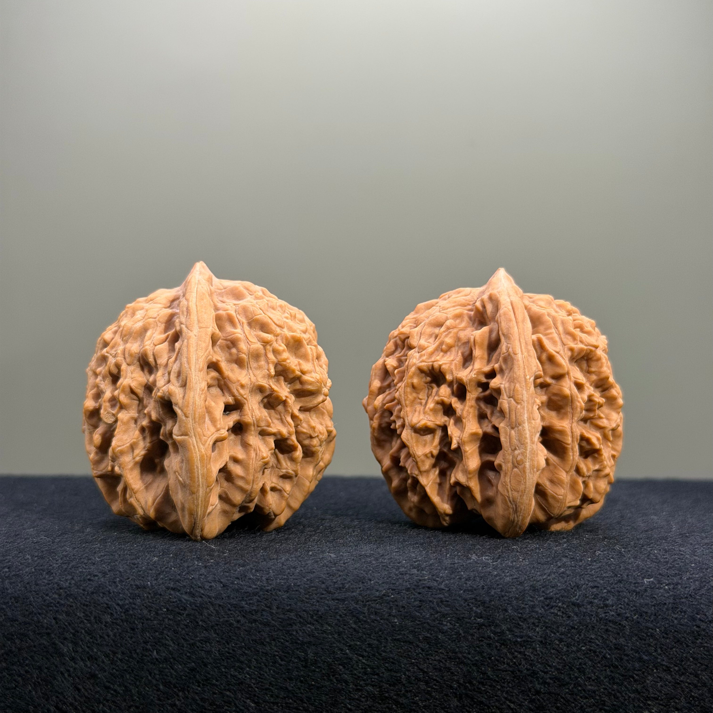 Coiled Dragon Tiger Head Wenwan Walnut · 39mm · Natural · Entry Ritual
