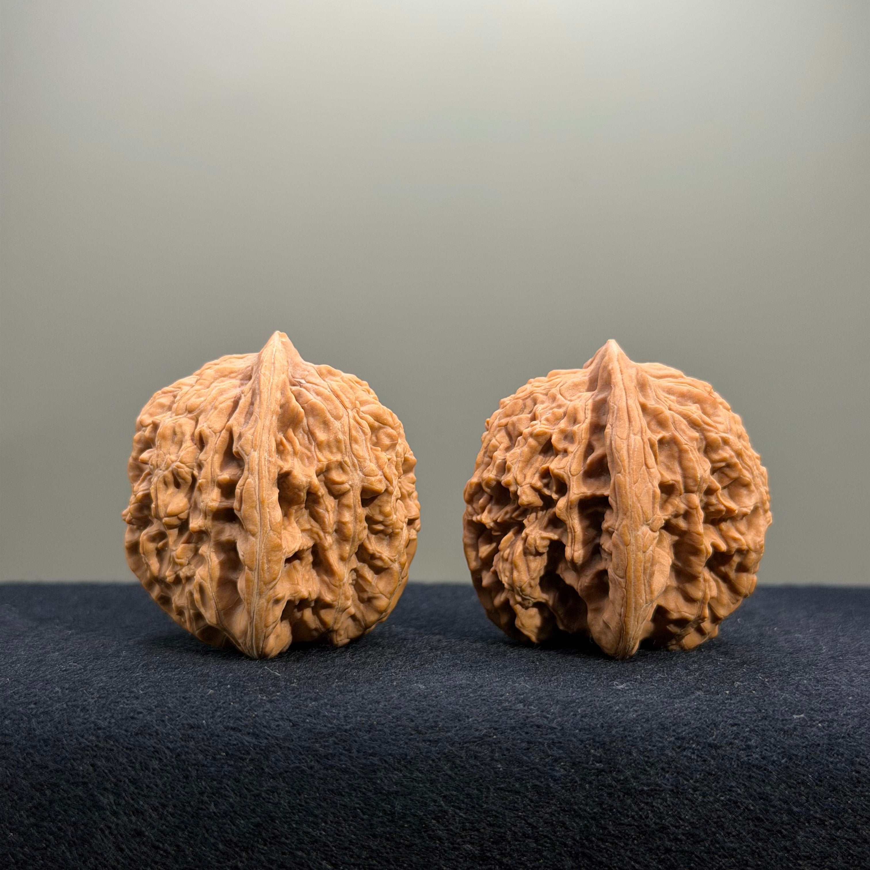 Coiled Dragon Tiger Head Wenwan Walnut · 39mm · Natural · Entry Ritual