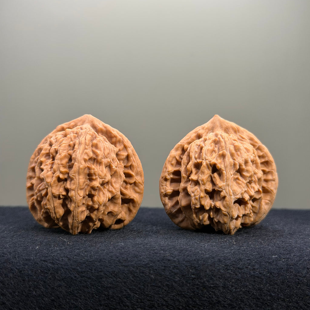 Coiled Dragon Tiger Head Wenwan Walnut · 39mm · Natural · Entry Ritual