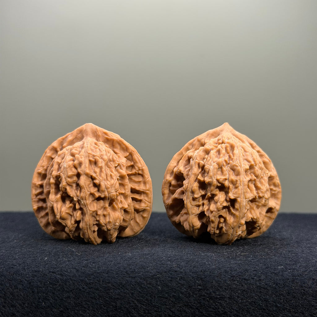 Coiled Dragon Tiger Head Wenwan Walnut · 39mm · Natural · Entry Ritual