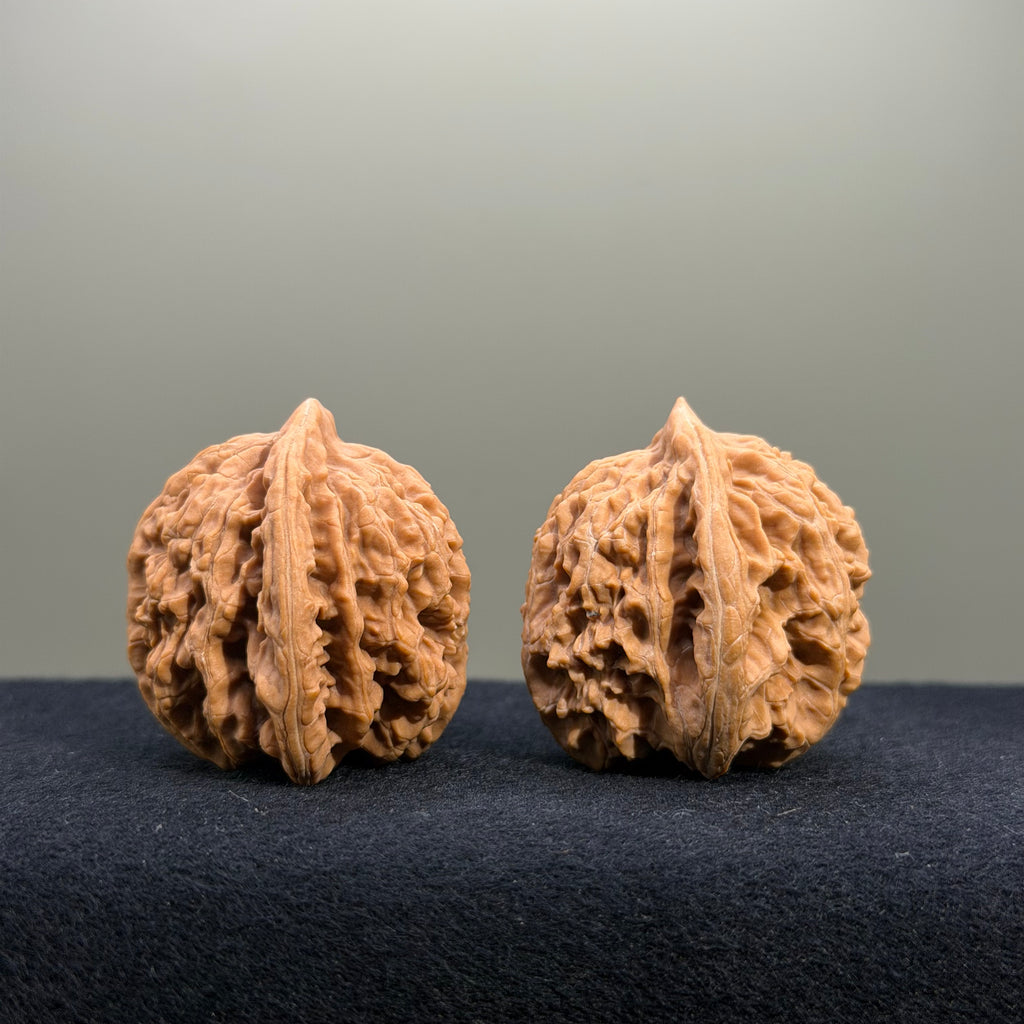 Coiled Dragon Tiger Head Wenwan Walnut · 39mm · Natural · Entry Ritual