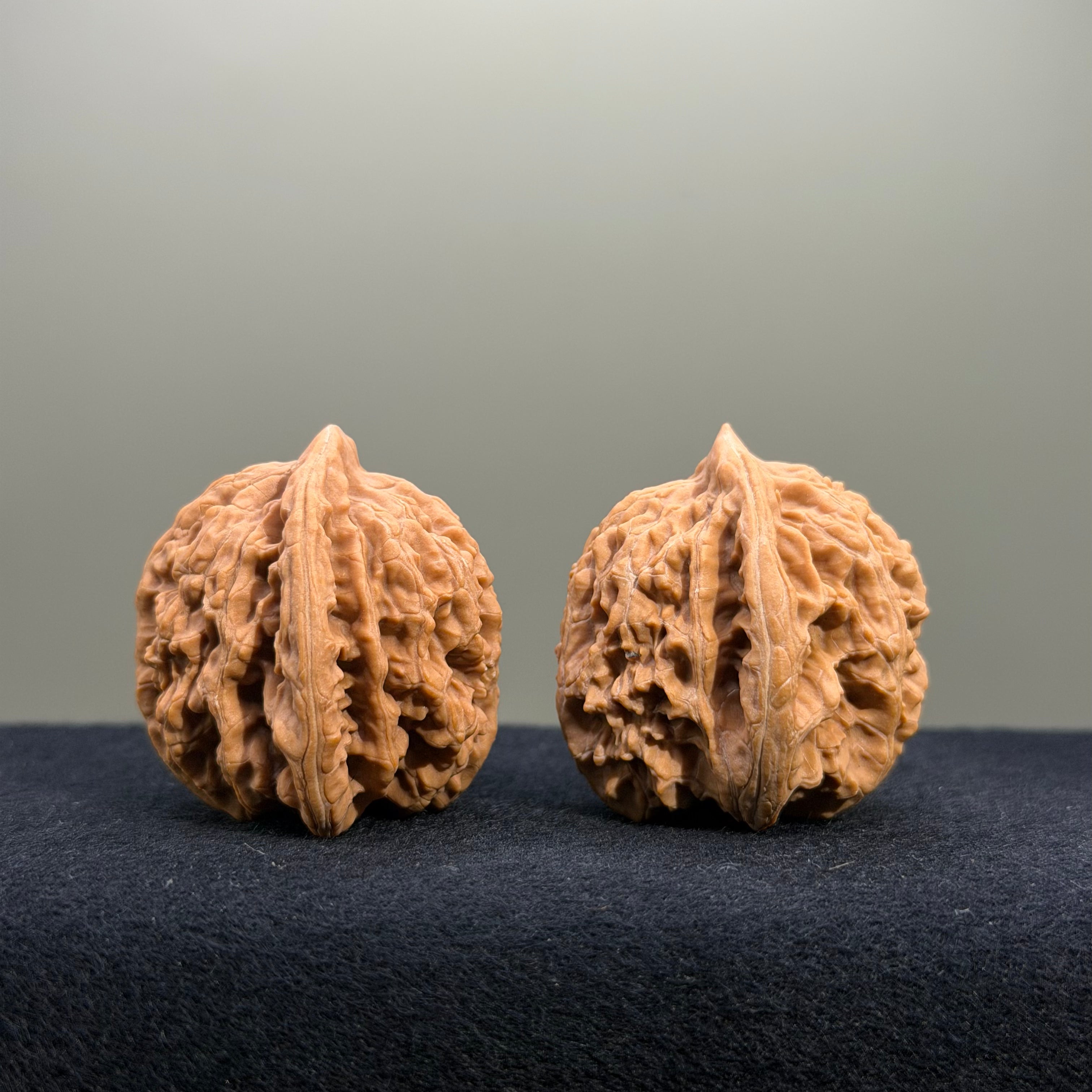 Coiled Dragon Tiger Head Wenwan Walnut · 39mm · Natural · Entry Ritual