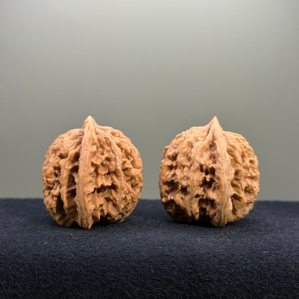 Coiled Dragon Tiger Head Wenwan Walnut · 39mm · Natural · Entry Ritual
