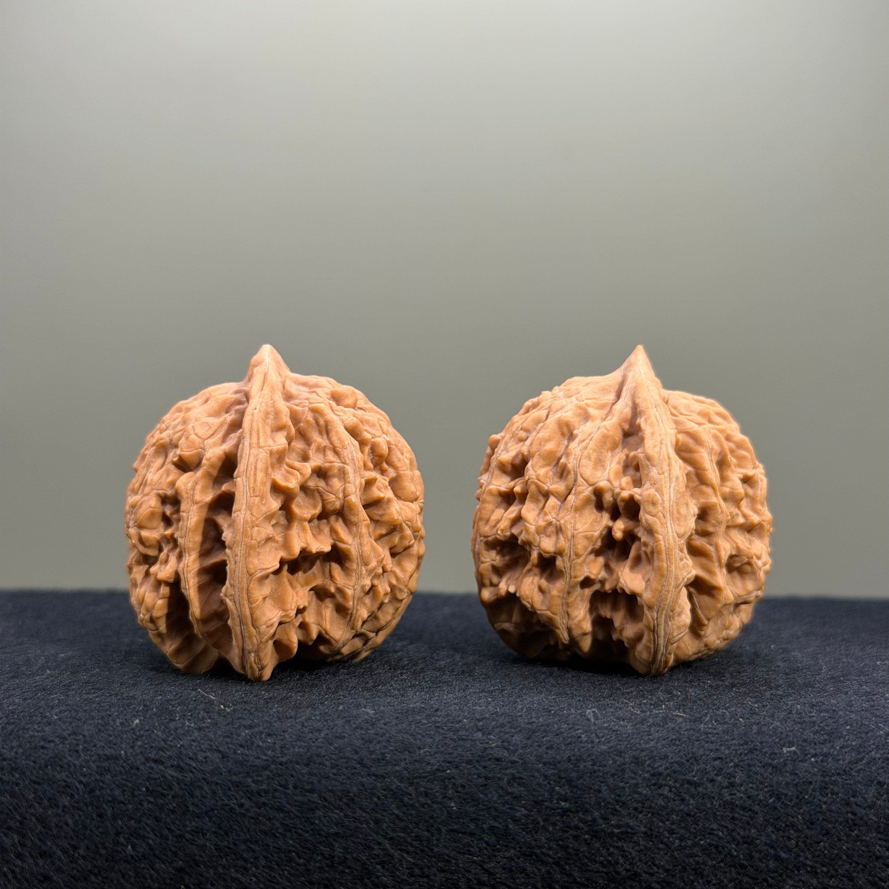 Coiled Dragon Tiger Head Wenwan Walnut · 39mm · Natural · Entry Ritual
