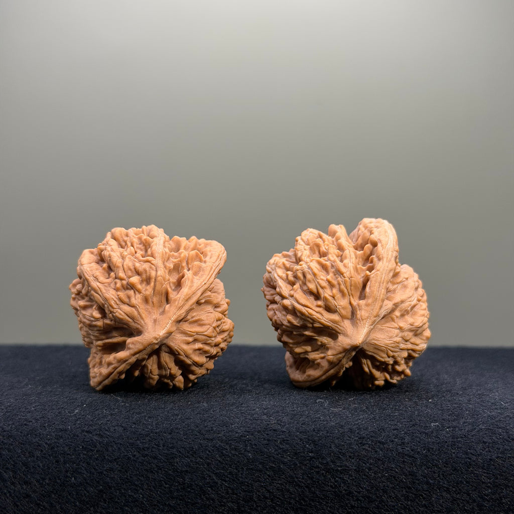 Coiled Dragon Tiger Head Wenwan Walnut · 39mm · Natural · Entry Ritual