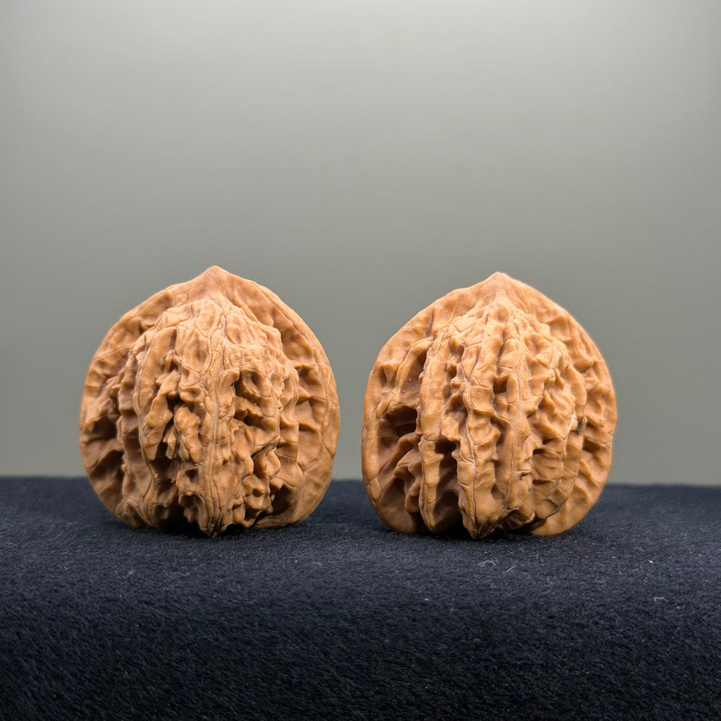 Coiled Dragon Tiger Head Wenwan Walnut · 37mm · Natural · Entry Ritual