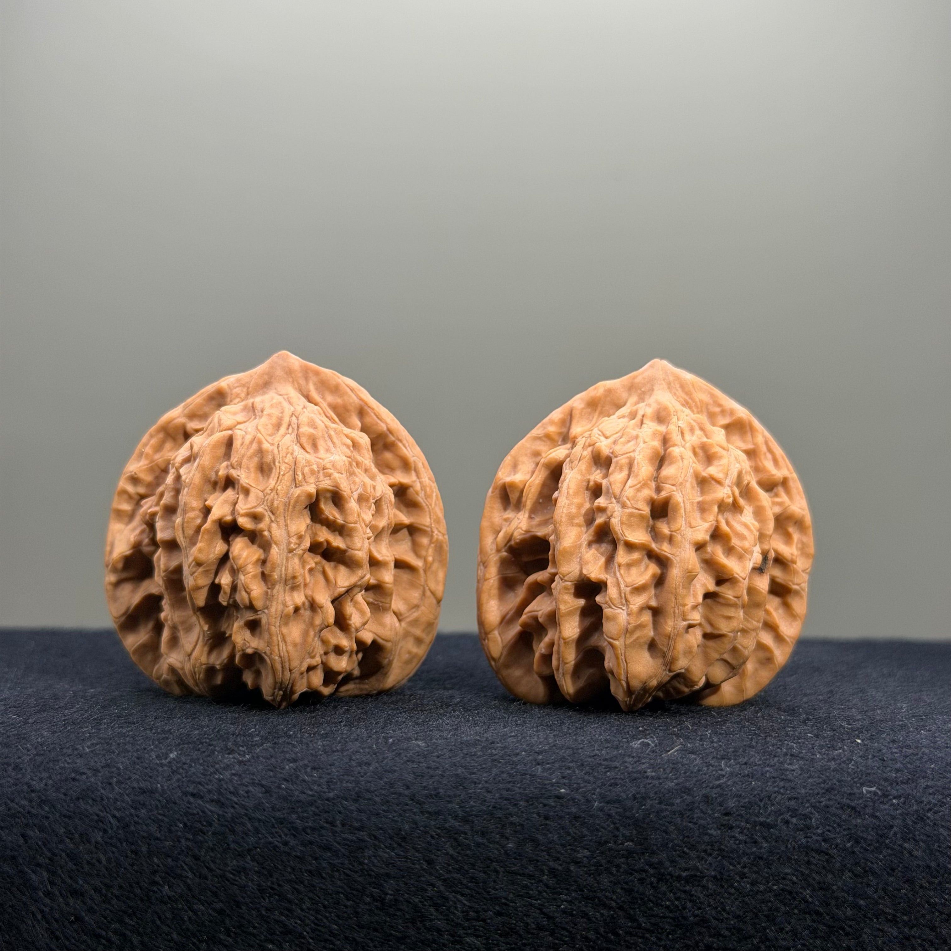Coiled Dragon Tiger Head Wenwan Walnut · 37mm · Natural · Entry Ritual