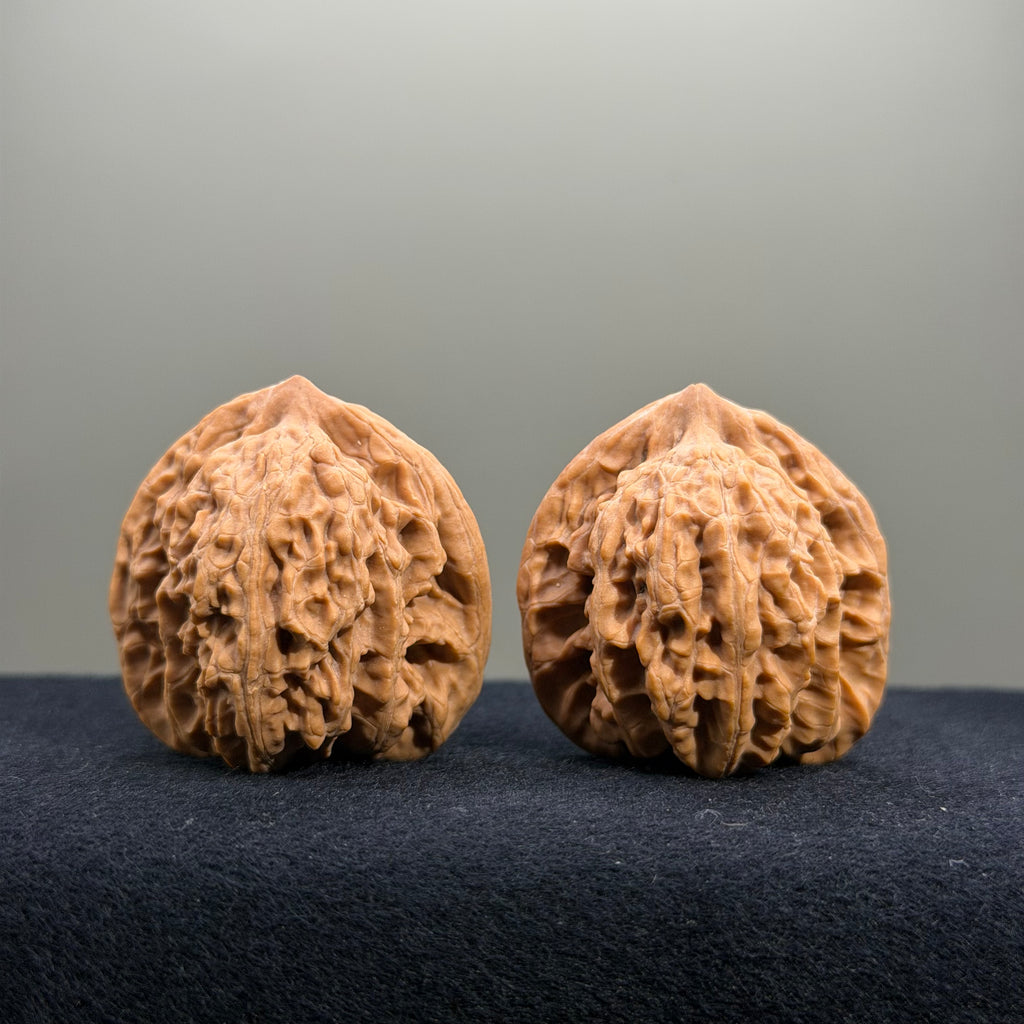 Coiled Dragon Tiger Head Wenwan Walnut · 37mm · Natural · Entry Ritual