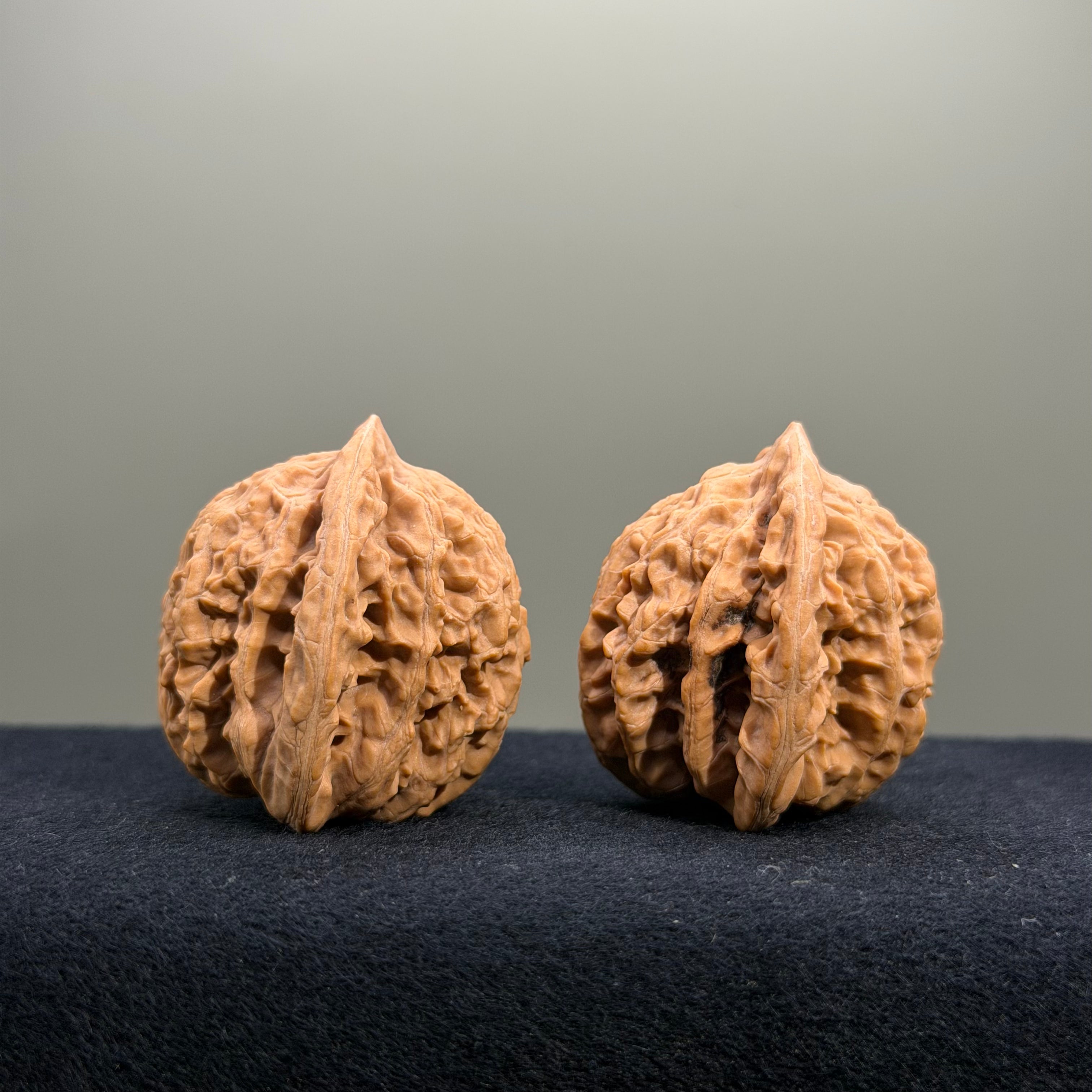 Coiled Dragon Tiger Head Wenwan Walnut · 37mm · Natural · Entry Ritual