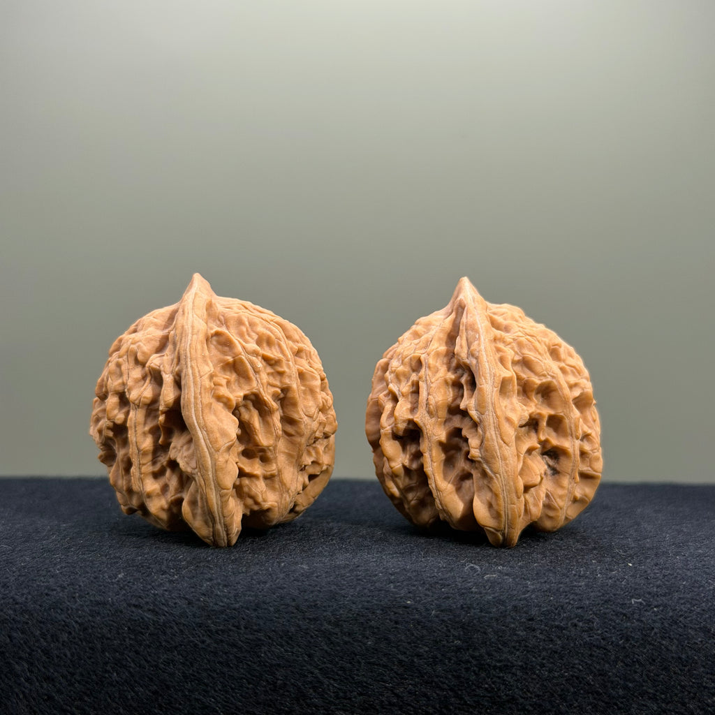 Coiled Dragon Tiger Head Wenwan Walnut · 37mm · Natural · Entry Ritual