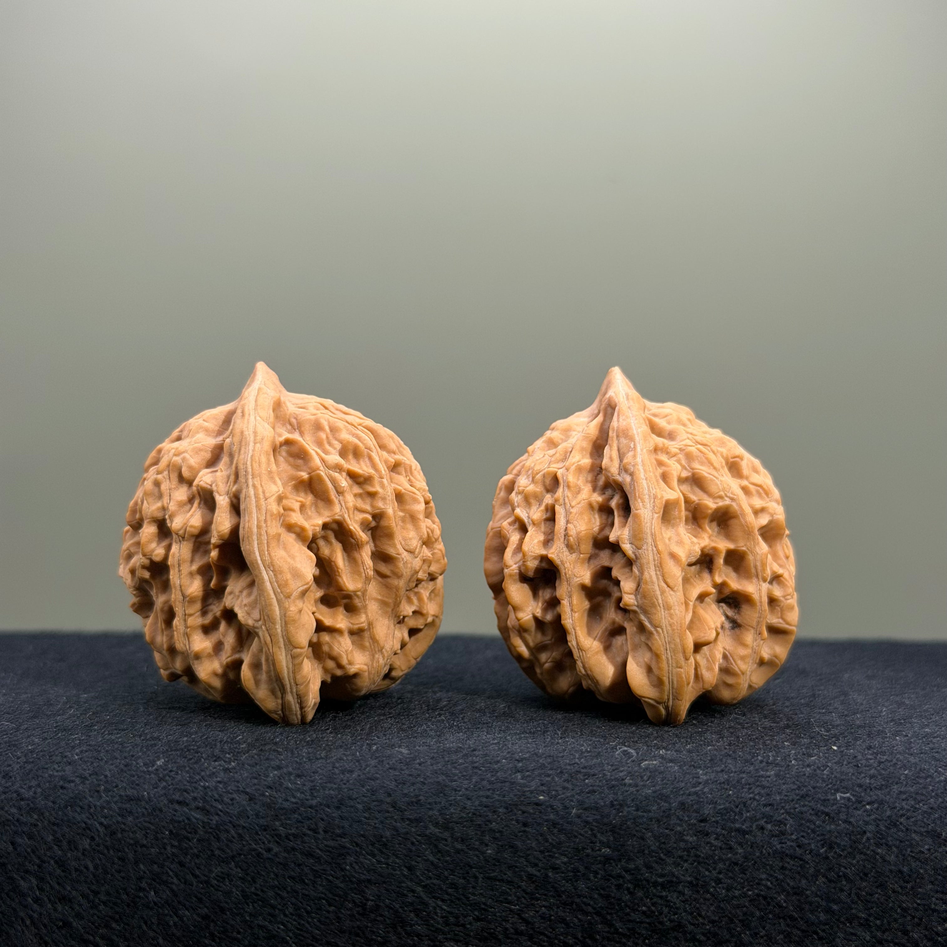 Coiled Dragon Tiger Head Wenwan Walnut · 37mm · Natural · Entry Ritual