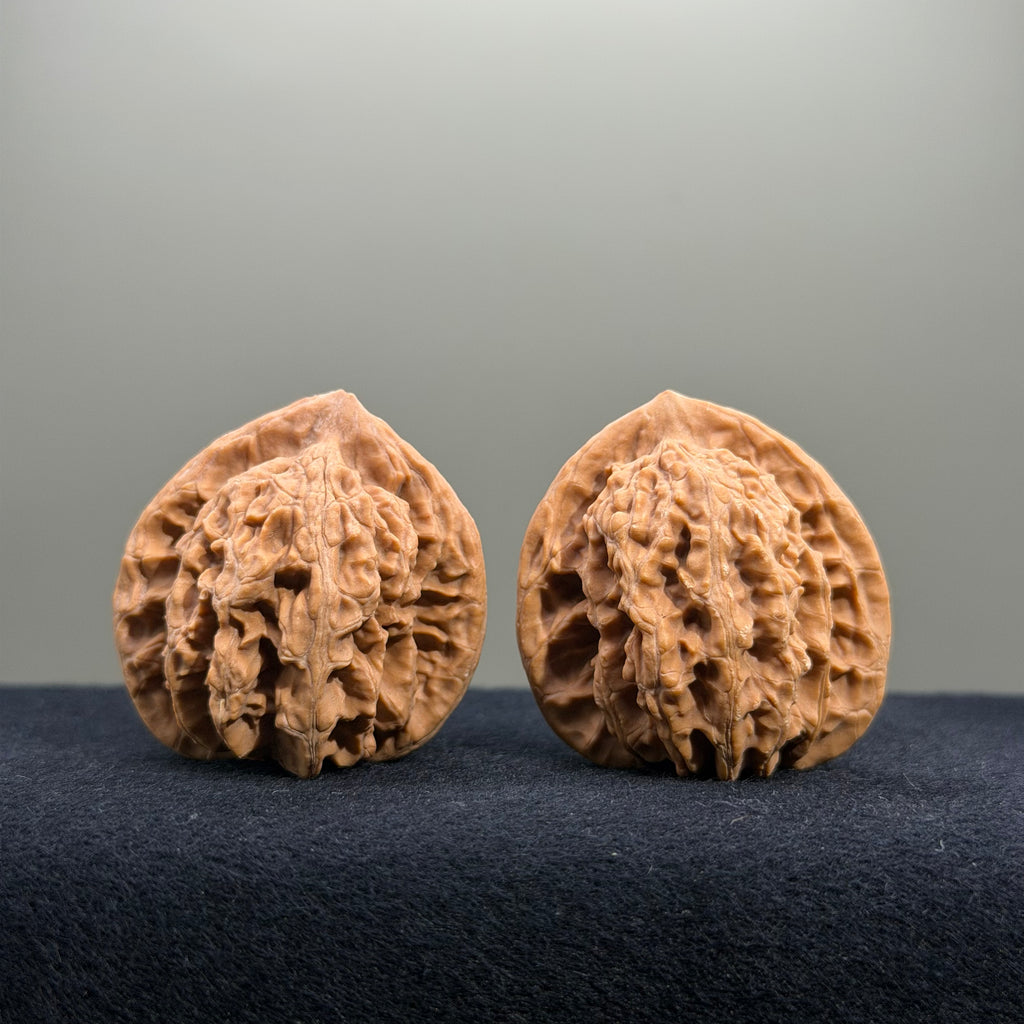 Coiled Dragon Tiger Head Wenwan Walnut · 37mm · Natural · Entry Ritual